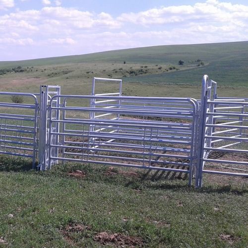 Behandlungskäfig für Rinder - SORA16.15000 - AHI - FARM CAMARA - robust / für Veterinärmedizin / zum Sortieren