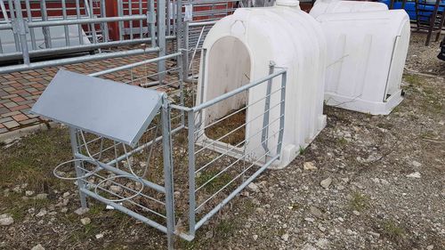 Hütte für Zuchtzwecke - FENB-21301 - AHI - FARM CAMARA - für Kälber / individuell / Polyethylen