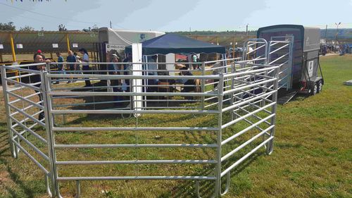 Schranke für Zuchtzwecke - FENG15.3000 - AHI - FARM CAMARA - für Treibgänge / für Pferde / für Kälber