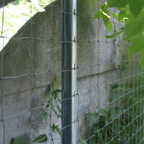 Zaunpfosten - Farmmesh - Spalier / Metall / für Weinbau