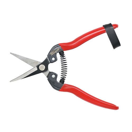 Obst-Ernteschere - 1188 - Plastrip