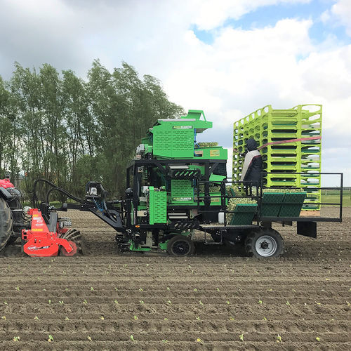 Gemüsepflanzmaschine - 4 SP - Agriplant NV - automatisch / 4 Reihen / angehängt