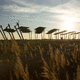 Agri-PV-Struktur / für Anbau