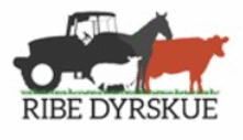Ribe Dyrskue