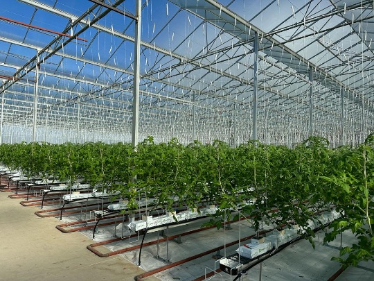 HYDROPONIC SYSTEMS INTERNATIONAL Photo 3