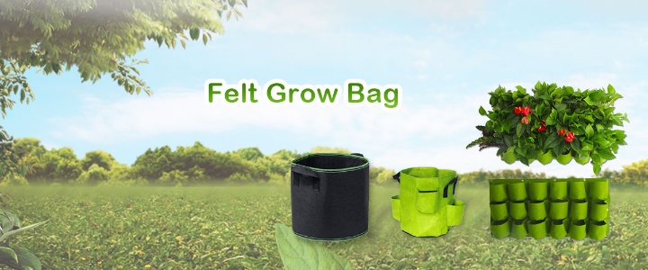 Jiangsu Grow-Green Agriculture Co., Ltd. Photo 3