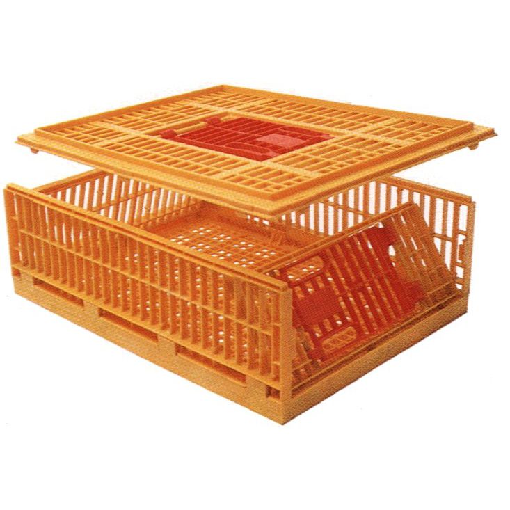 Cajón de transporte para pollos 46 Carfed de plástico