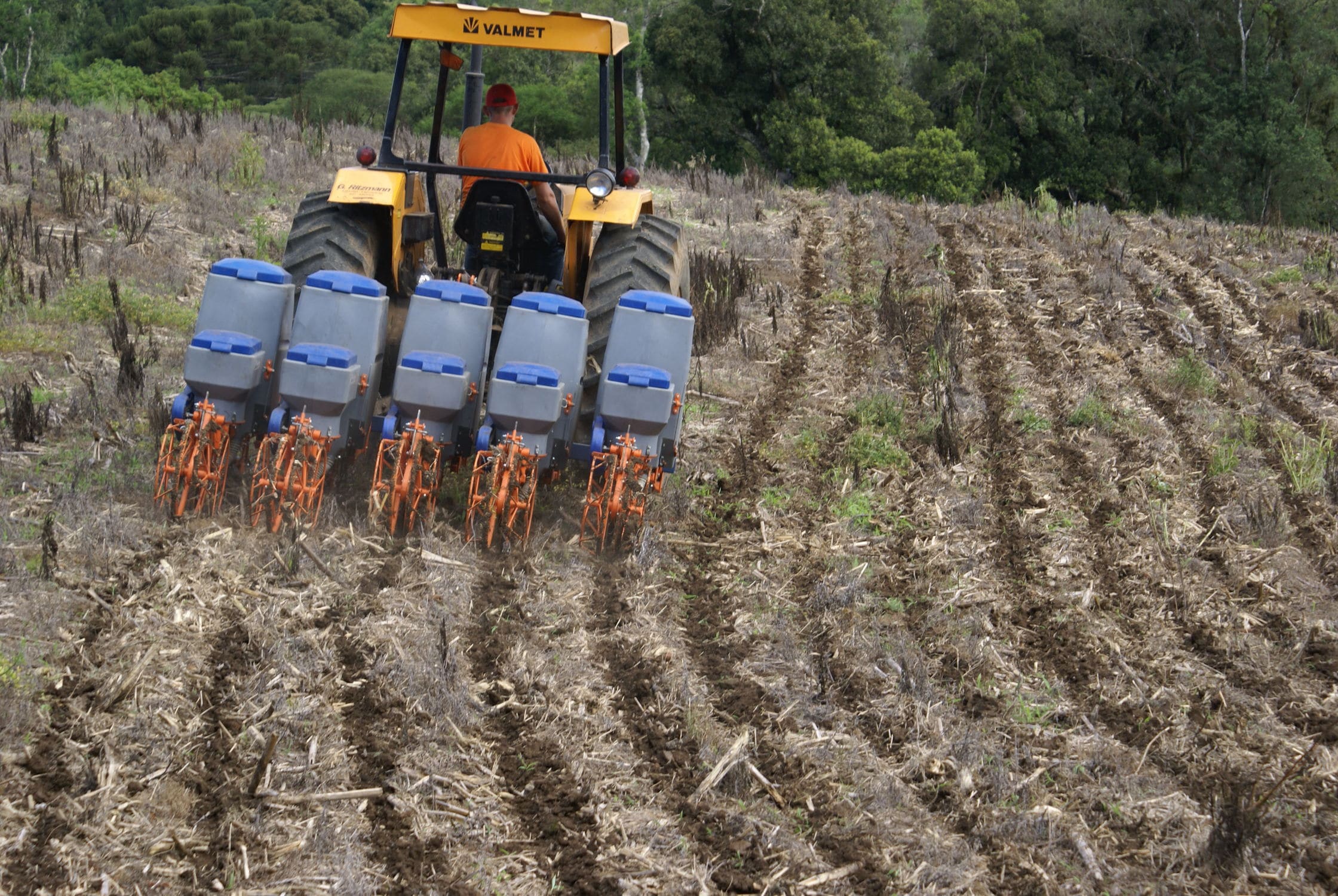 Sembradora en hileras convencional - H5L - plantknapik - 5 hileras / con  enganche en tres puntos / siembra directa, image size:2240x1500