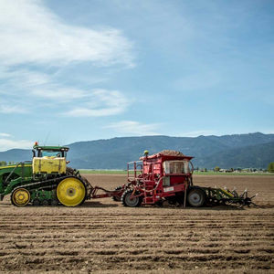 plantadora para patatas