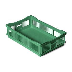 canasta de transporte para polluelos