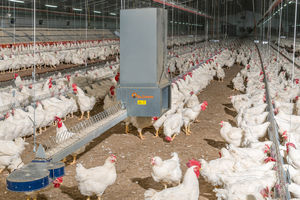 equipo de alimentación para aves de corral