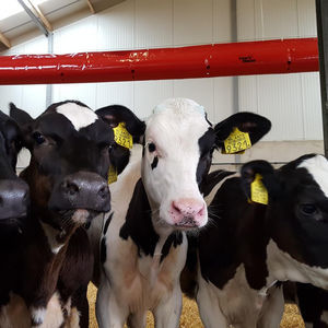 conducto de ventilación para instalación agrícola
