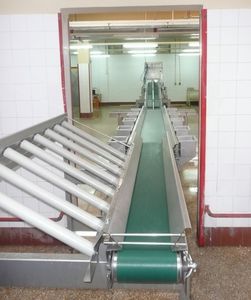 transportador para polluelos 1