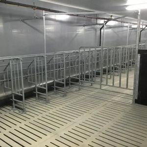 jaula de gestación para porcinos 1