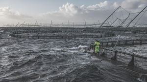 jaula de pesca flotante