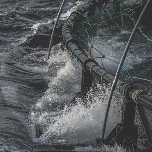 jaula de pesca flotante 1