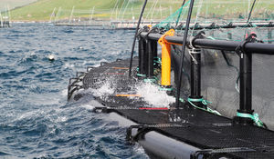 jaula de pesca flotante