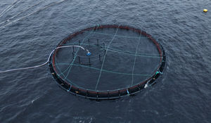 jaula de pesca flotante