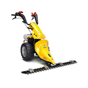 Motosegadora 1