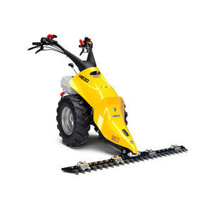 Motosegadora