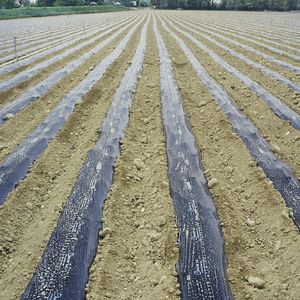 recubrimiento para horticultura