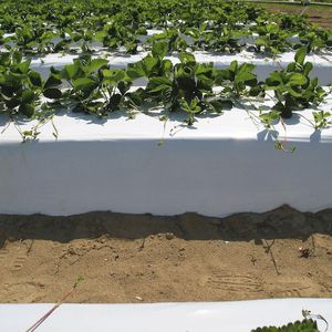 recubrimiento para horticultura