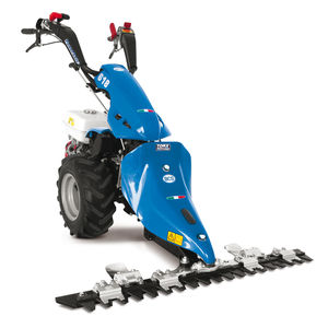 Motosegadora 1