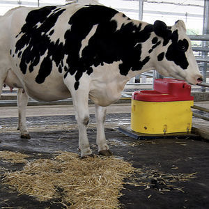 colchón para vacas de caucho 1