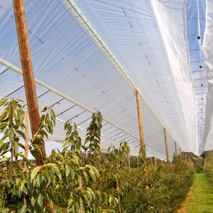 red antigranizo / cortavientos / antiinsectos / para cultivo