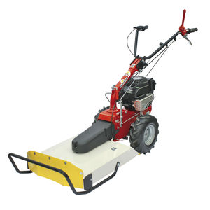 cortacésped con operador a pie