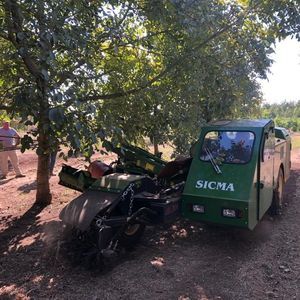 vibradora para árboles para frutos de cáscara