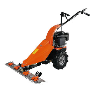 Motosegadora 1