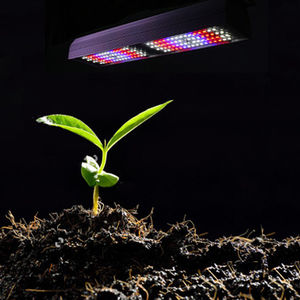 iluminación para la horticultura / LED / azul / roja