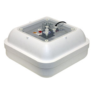 incubadora de huevos con volteo automático