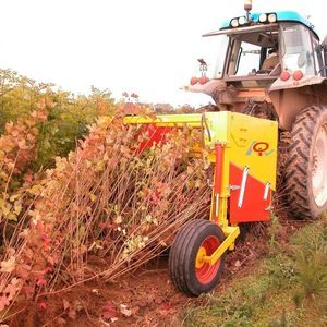 arrancadora de plantas de vivero