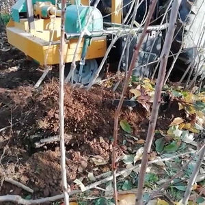 arrancadora de plantas de vivero