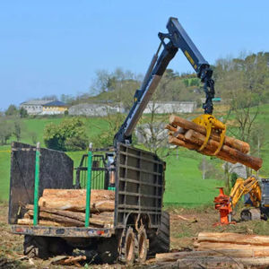 cargadora forestal de brazo articulado 1