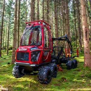 autocargador forestal combinado