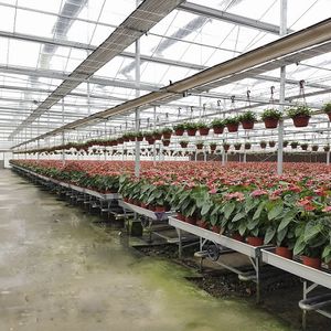 mesa de cultivo hortícola con altura regulable