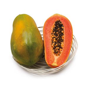 semilla de papaya híbrida
