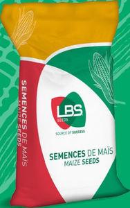 semillas de maíz tardías
