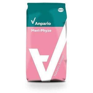 aditivo alimentario enzima 1
