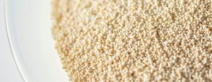 aditivo alimentario enzima