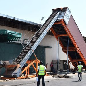 transportador para cereales