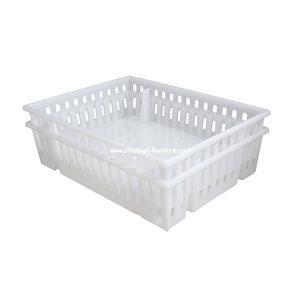 canasta de transporte para polluelos