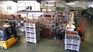 volteador de cajas