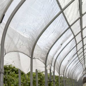 invernadero multitúnel