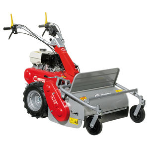 Motosegadora 1