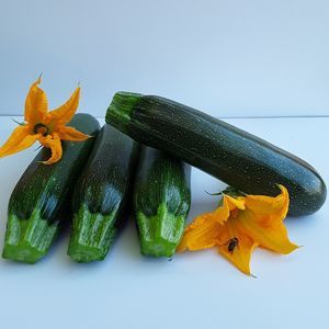 semilla de calabaza de otoño