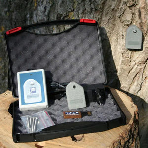 detector de movimiento del árbol 1